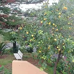 בית הארחה Valle Dei Casali 4*