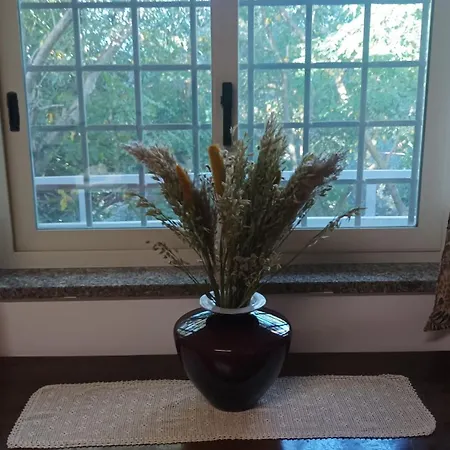 招待所 Valle Dei Casali 4*