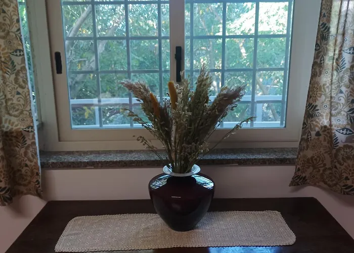 ゲストハウス Valle Dei Casali 4*