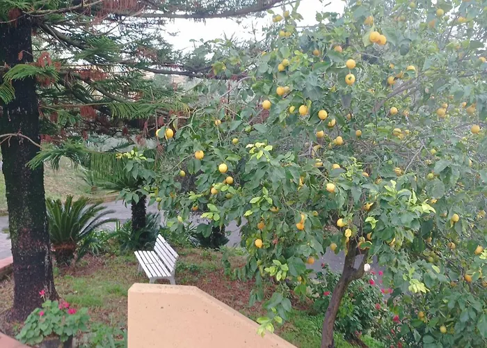 ゲストハウス Valle Dei Casali 4*